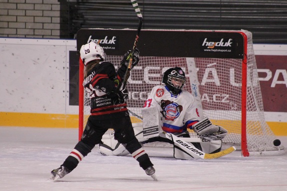 Pohár města Česká Lípa r. 2017 a ml. 7