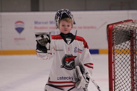 Pohár města Česká Lípa r. 2017 a ml. 8